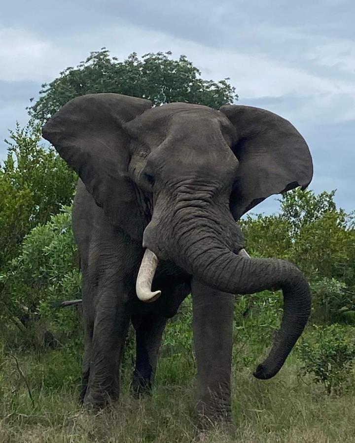 Overnight Stop Before Kruger National Park Phalaborwa Zewnętrze zdjęcie